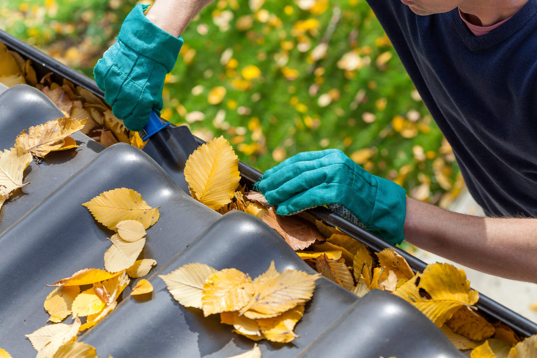 A man in green gloves cleaning a gutter full of leaves.